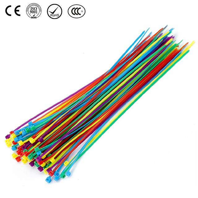 AD-3*100 Nylon Cable Tie